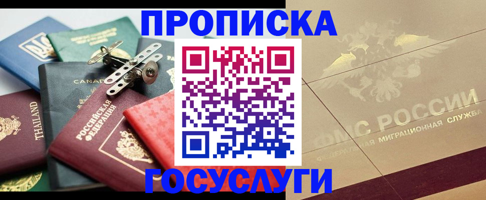 временная регистрация для всех в Димитровграде